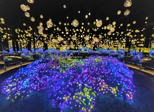 イルミネーション